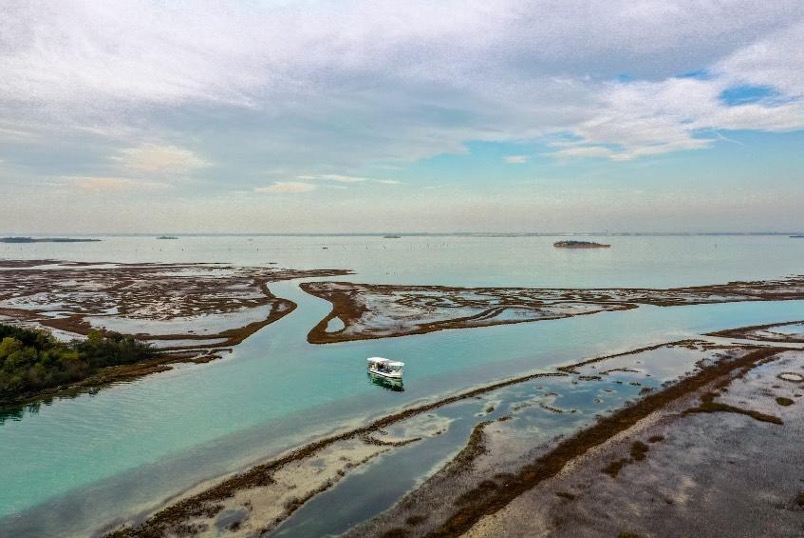 Lo sciame di Aurelia. foto di Mauro Bastianini