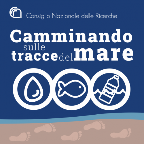 Apre la piattaforma camminando sulle tracce del mare
