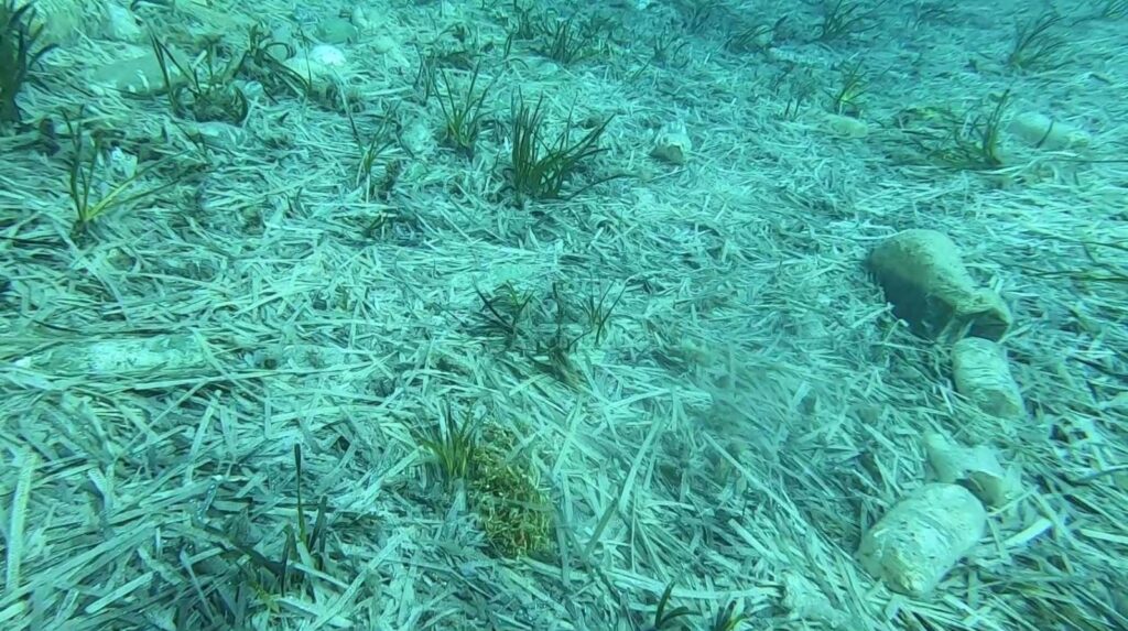 Giannutri: Scoperto e mappato un accumulo di plastica